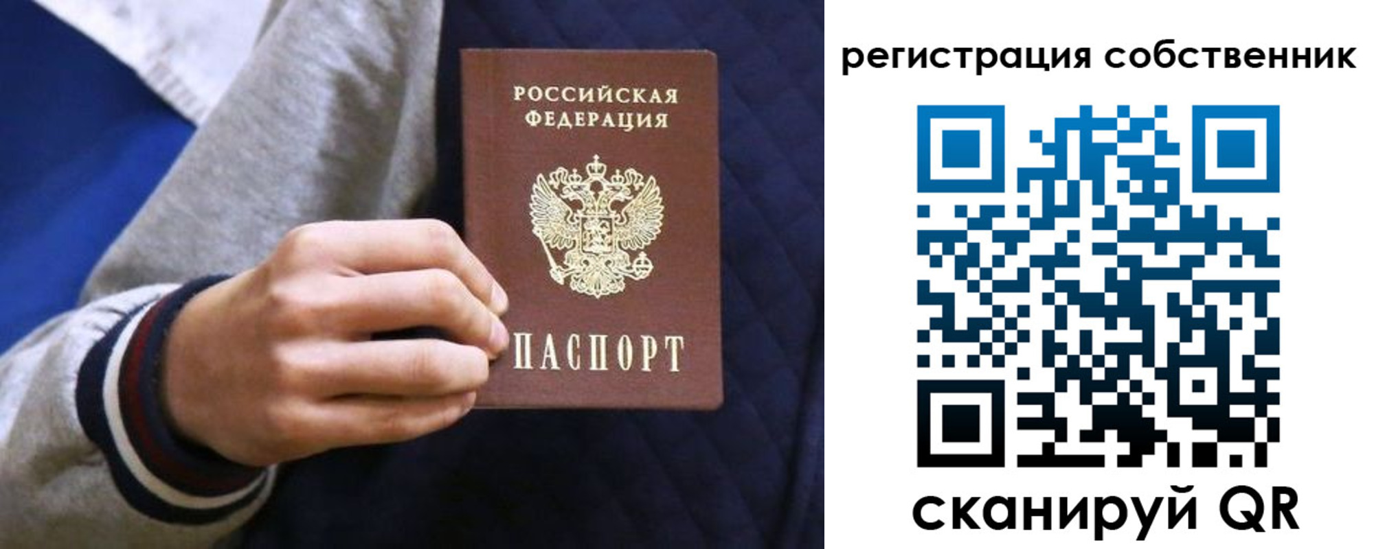 прописка поиск в Раменском